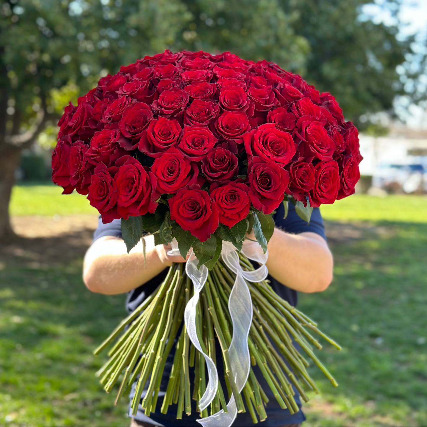 Luxurious 100 roses