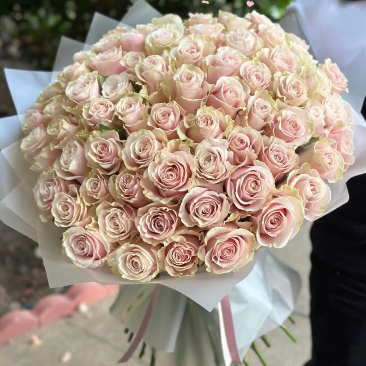 Luxurious 100 roses